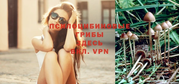 первитин Абинск