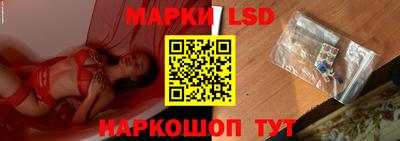 гидропоника Новокубанск