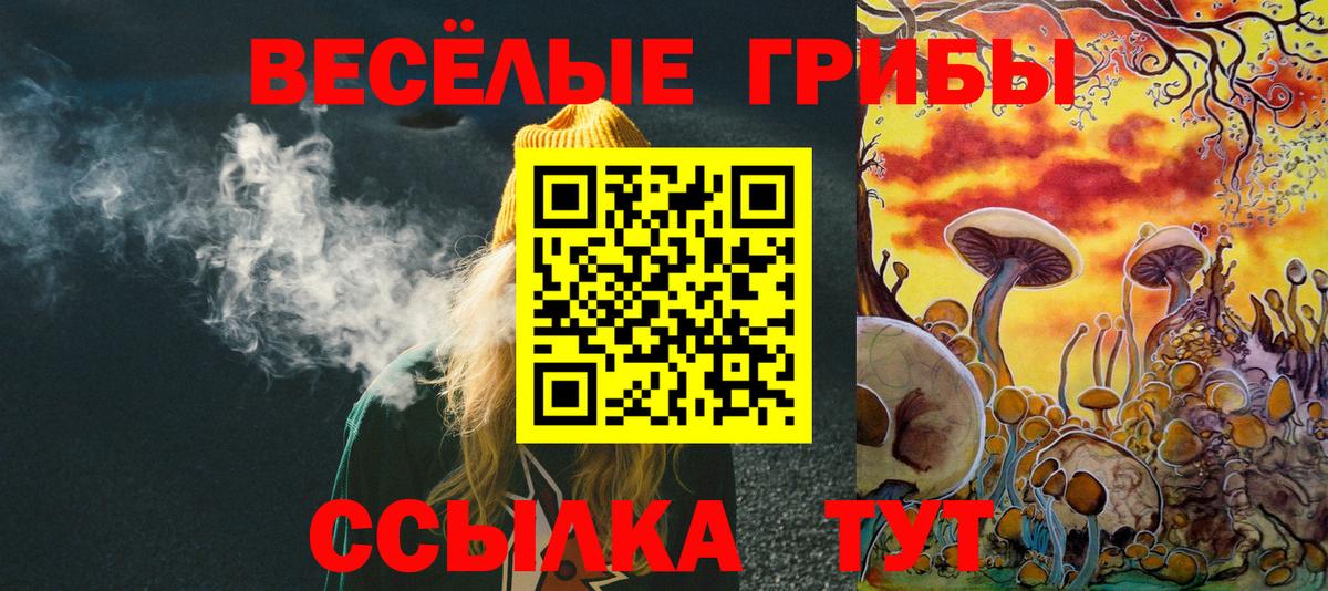 Псилоцибиновые грибы мухоморы  Вход с VPN  Псилоцибиновые грибы прущие грибы  Торжок 