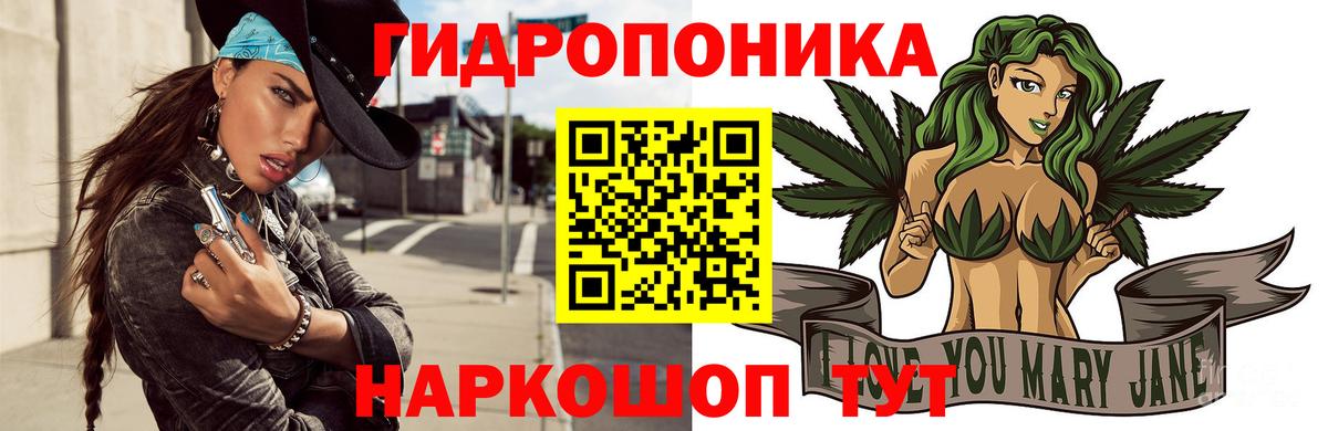 Торжок  Каннабис THC 21%  МАРИХУАНА сатива  Бошки Шишки конопля  Вход с VPN 